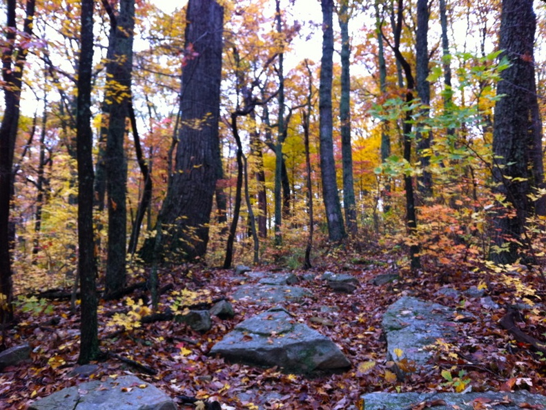 Sheltowee Trace, Clear Creek Furnace - 15